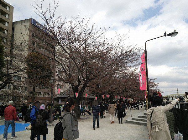 f:id:cotomo:20160416154928j:plain