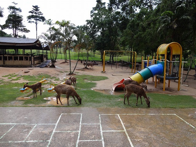 f:id:cotomo:20170112172352j:plain