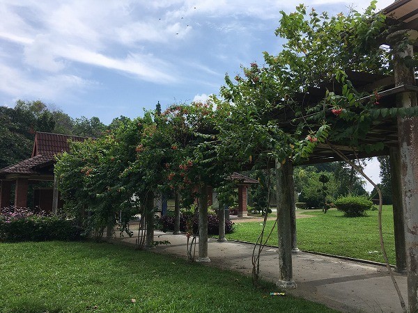 f:id:cotomo:20180812005632j:plain