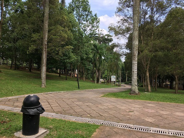 f:id:cotomo:20180812005737j:plain