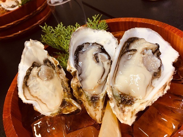 f:id:cotomo:20181121204903j:plain f:id:cotomo:20181121204903j:plain
