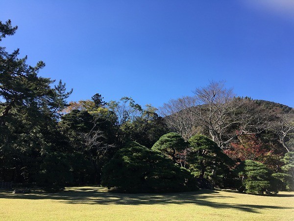 f:id:cotomo:20181129124623j:plain
