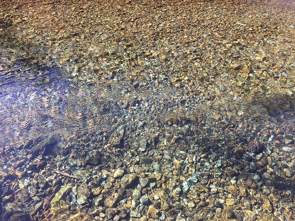 f:id:cotomo:20181129124635j:plain