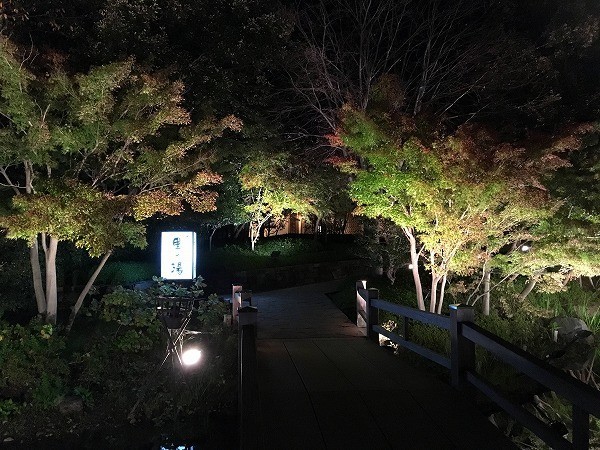 f:id:cotomo:20181206004136j:plain