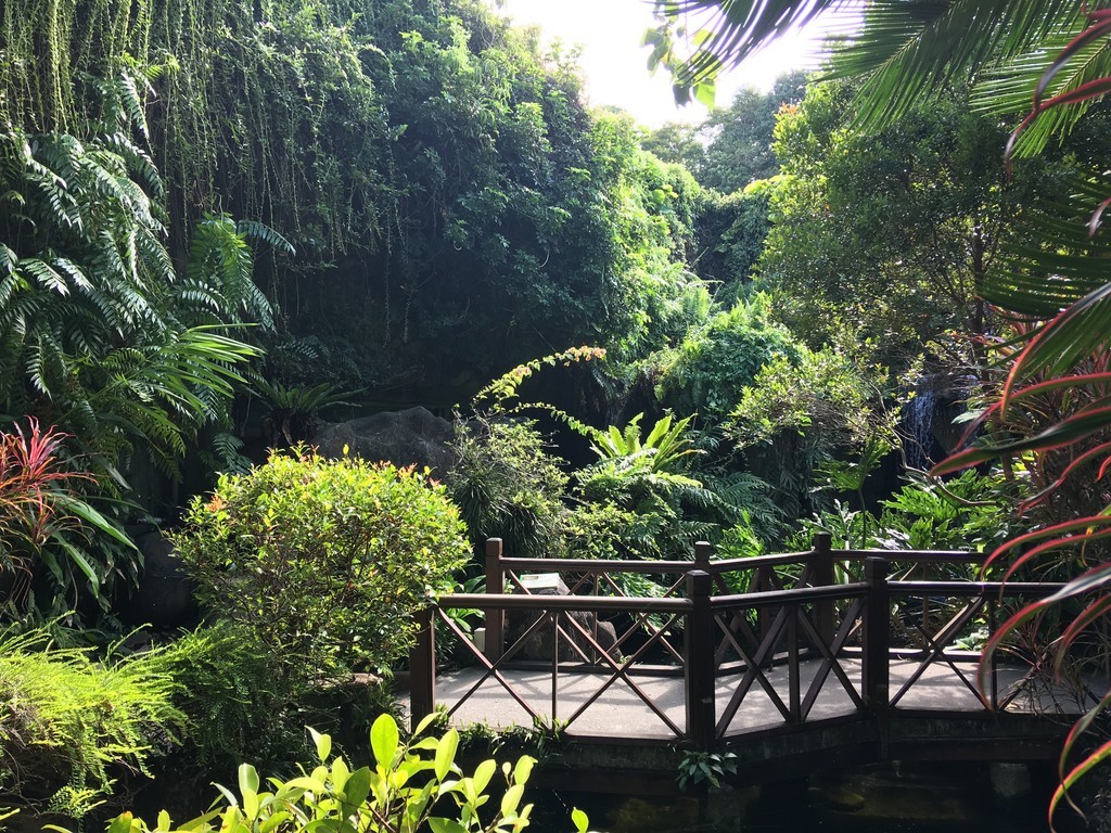 f:id:cotomo:20190107155809j:plain