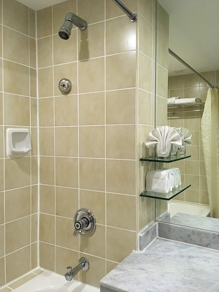 f:id:cotomo:20190127201540j:plain