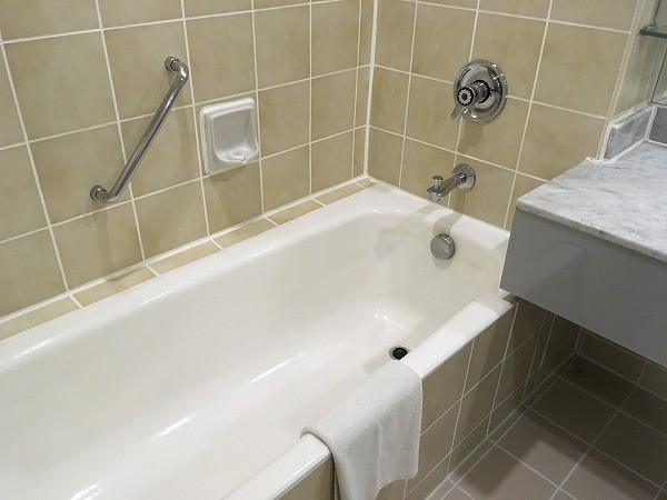 f:id:cotomo:20190127214456j:plain