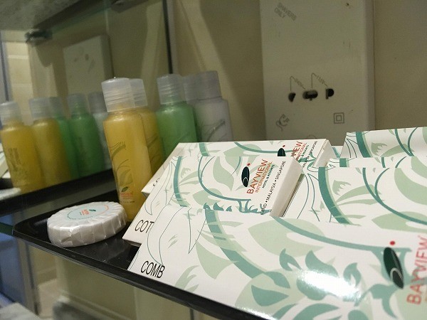 f:id:cotomo:20190127214520j:plain