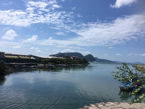 f:id:cotomo:20190127214916j:plain