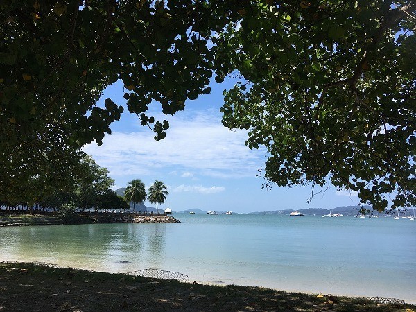 f:id:cotomo:20190127215502j:plain