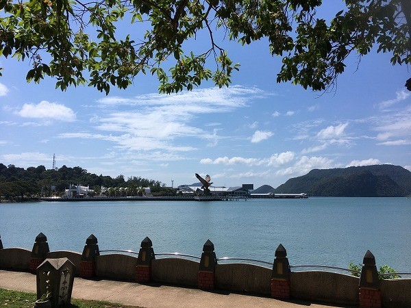 f:id:cotomo:20190127215558j:plain