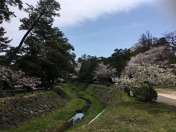 f:id:cotomo:20190505175833j:plain