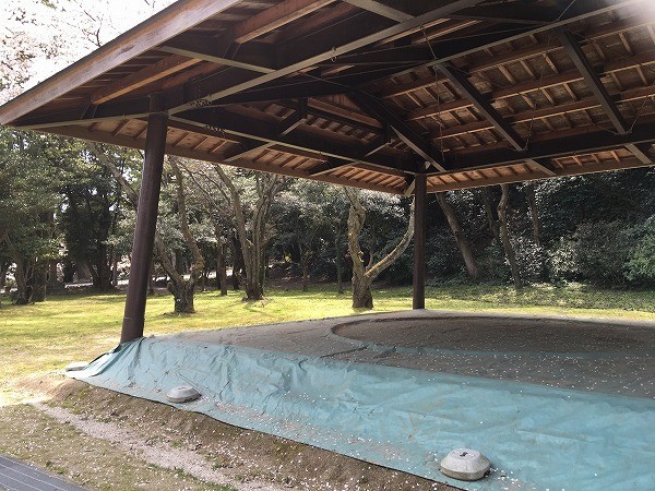 f:id:cotomo:20190505175950j:plain