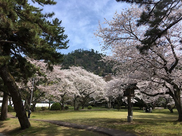 f:id:cotomo:20190505180014j:plain