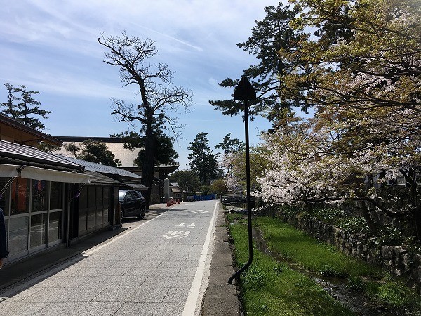 f:id:cotomo:20190505224840j:plain