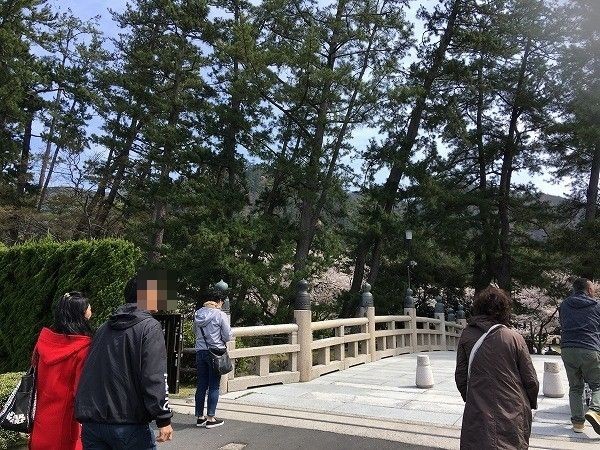f:id:cotomo:20190505234621j:plain