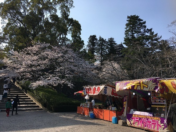 f:id:cotomo:20190506022438j:plain f:id:cotomo:20190506022438j:plain