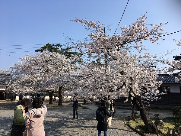 f:id:cotomo:20190506022454j:plain f:id:cotomo:20190506022454j:plain