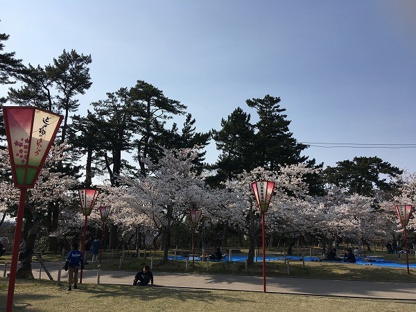 f:id:cotomo:20190506022556j:plain f:id:cotomo:20190506022556j:plain