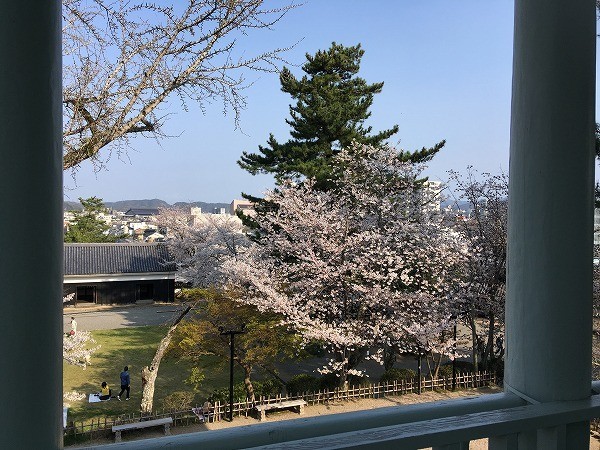 f:id:cotomo:20190506024525j:plain f:id:cotomo:20190506024525j:plain