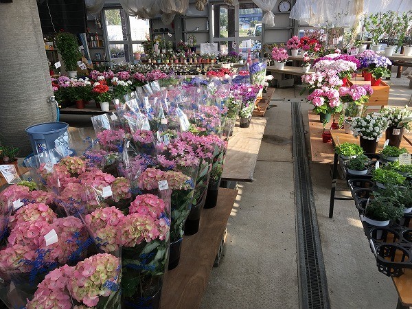 f:id:cotomo:20190506025938j:plain f:id:cotomo:20190506025938j:plain