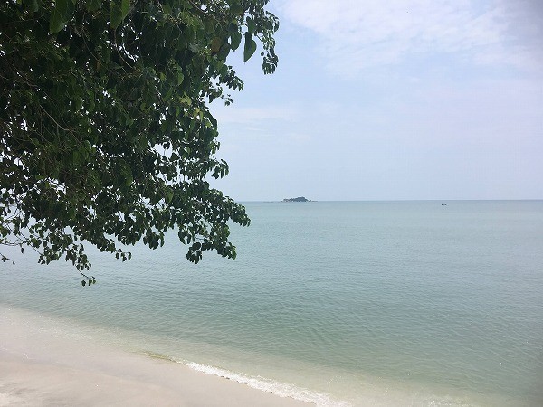 f:id:cotomo:20191014020135j:plain