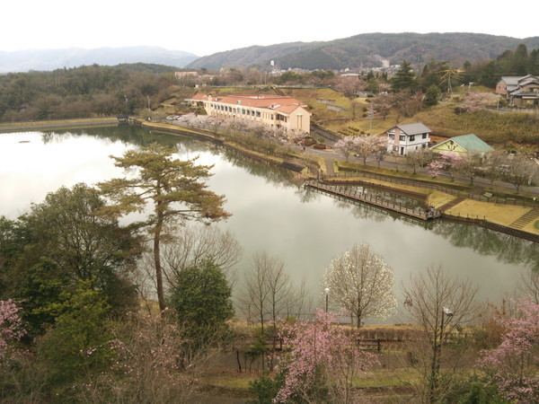 f:id:cotomo:20201126232320j:plain