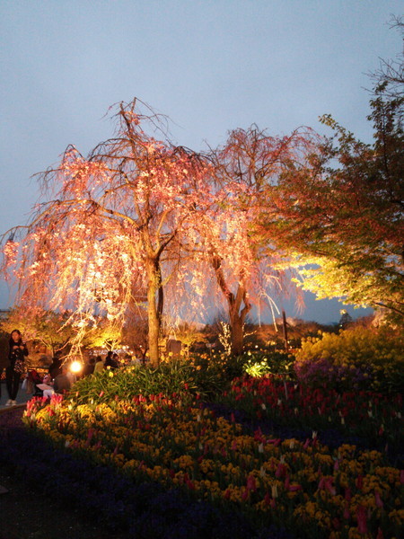 f:id:cotomo:20201211102641j:plain