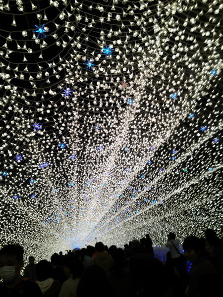 f:id:cotomo:20201211102708j:plain