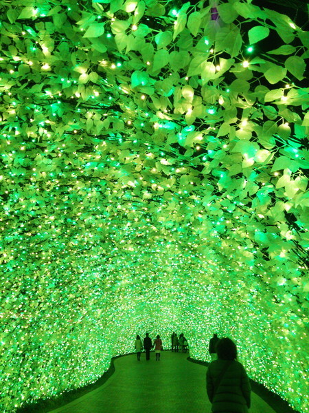 f:id:cotomo:20201211103027j:plain