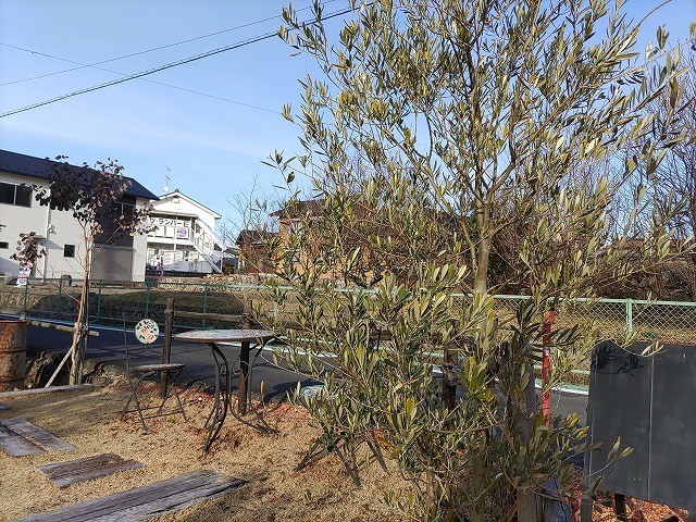 f:id:cotomo:20210130100539j:plain