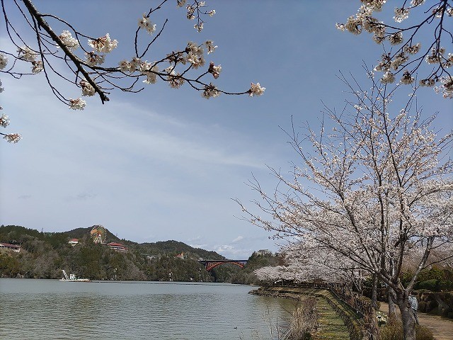 f:id:cotomo:20210404104328j:plain