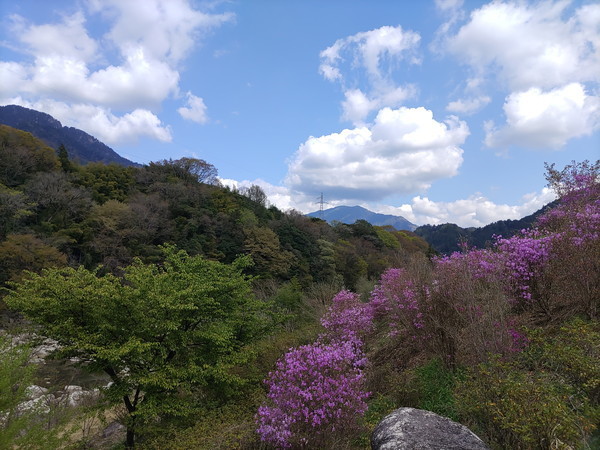 f:id:cotomo:20210406141644j:plain