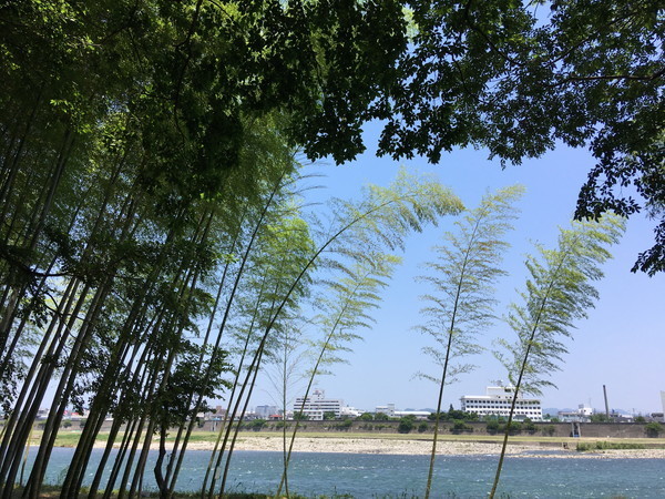 f:id:cotomo:20210610111814j:plain