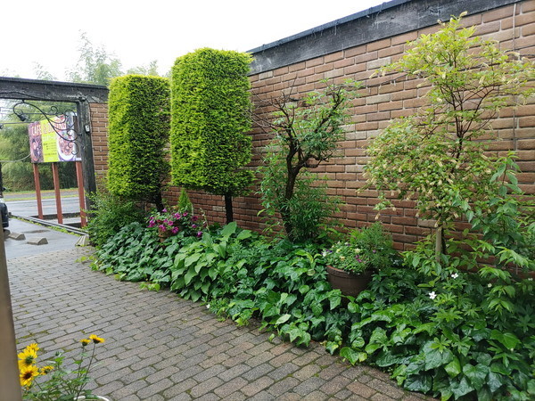 f:id:cotomo:20210619125706j:plain