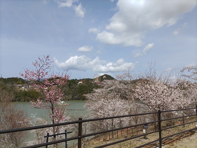 f:id:cotomo:20210723195903j:plain