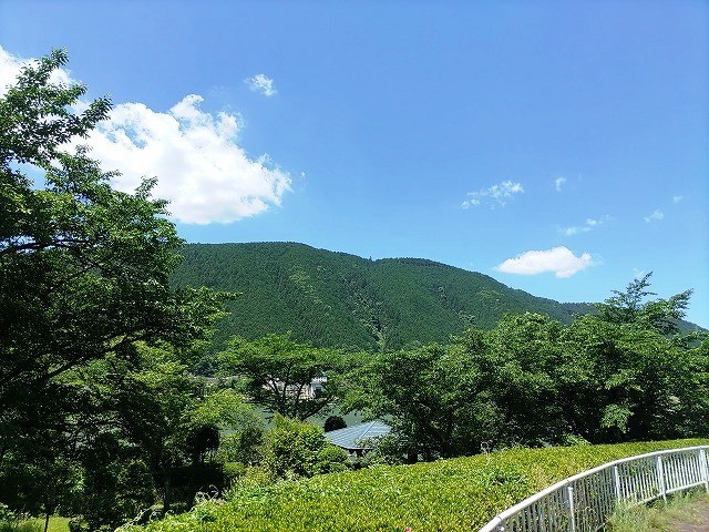 f:id:cotomo:20210811160105j:plain