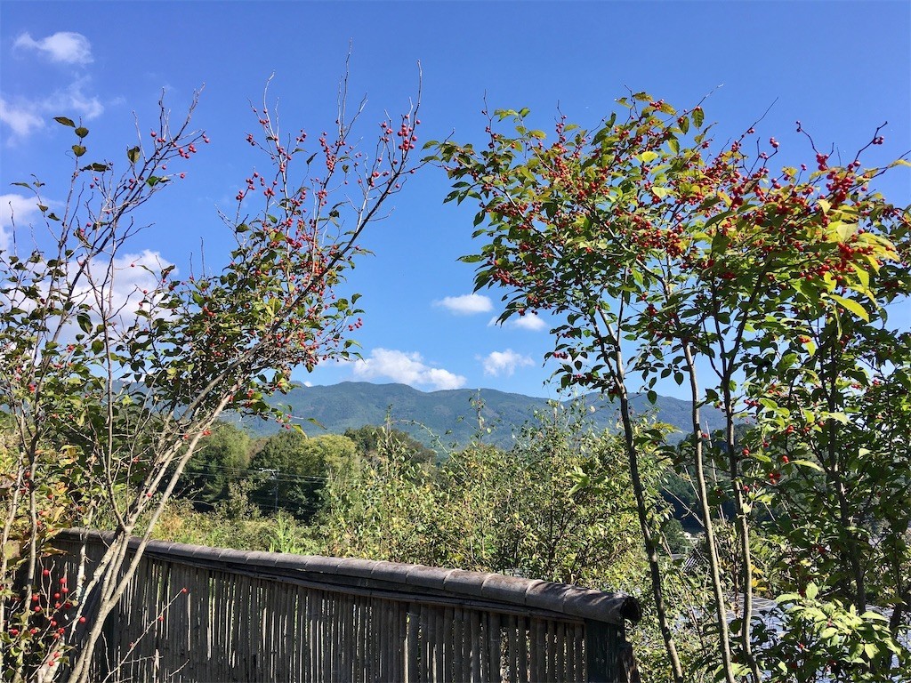 f:id:cotomo:20211023125649j:image f:id:cotomo:20211023125649j:image