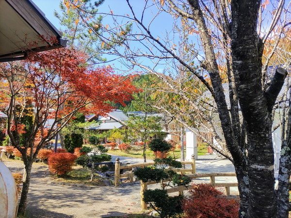 f:id:cotomo:20211103122200j:plain