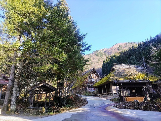f:id:cotomo:20211119091700j:plain
