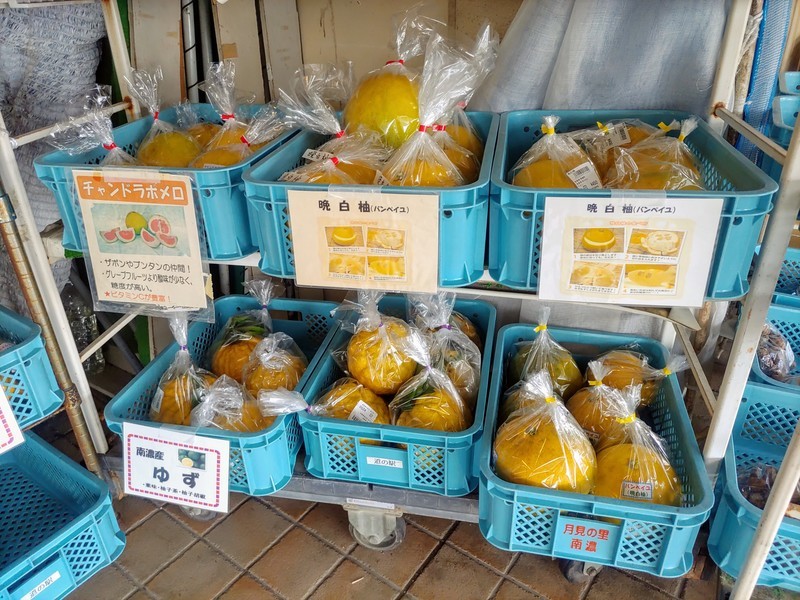 f:id:cotomo:20220110104328j:plain