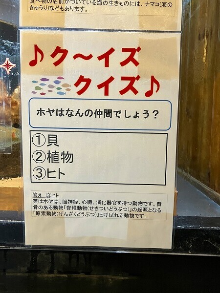 ミニクイズ