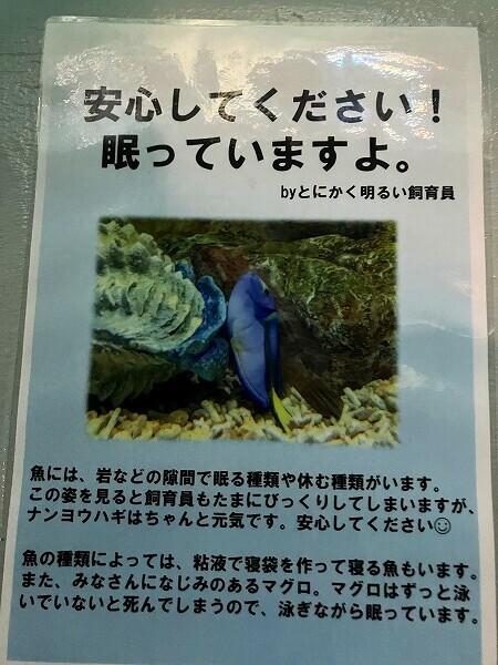 とにかく明るい