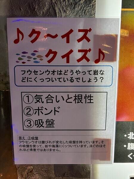 ミニクイズ