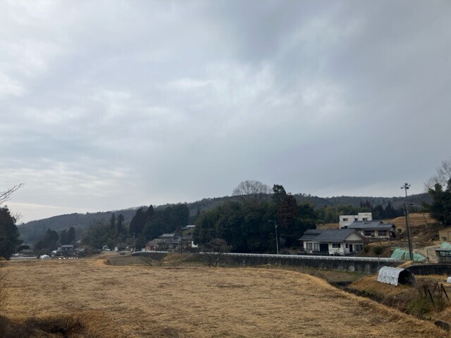 のどかな風景