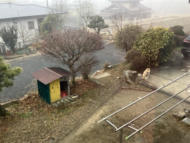 犬小屋のある風景