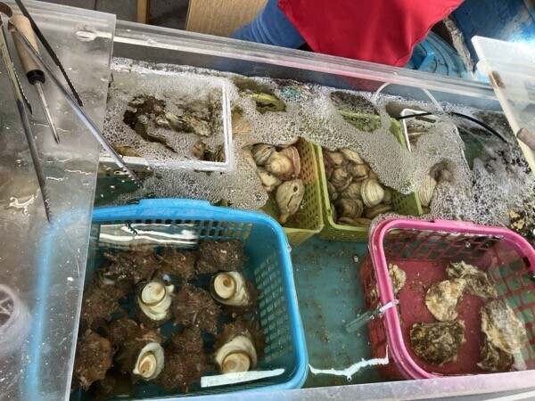 鈴木水産　生きてる貝