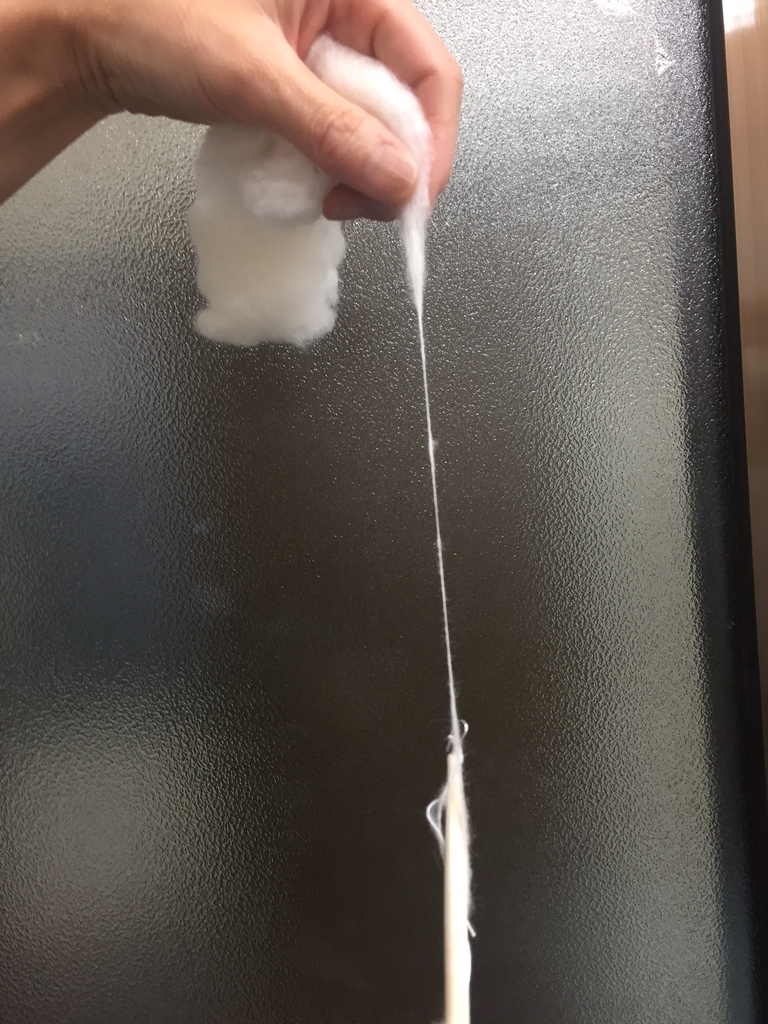 f:id:cotton-p:20190114201335j:plain
