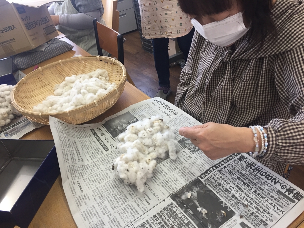 f:id:cotton-p:20190131215009j:plain