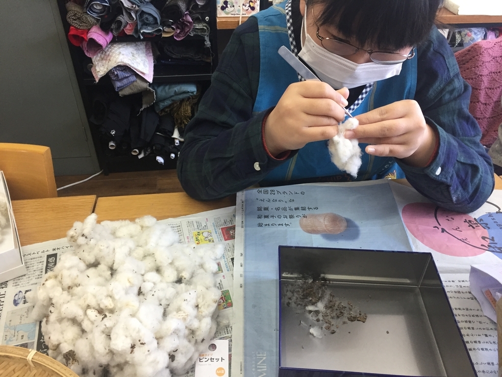 f:id:cotton-p:20190131215106j:plain